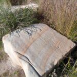 Ancient sandstone with natural patterns, surrounded by wild grass, representing faith and resilience in Christian outreach.
