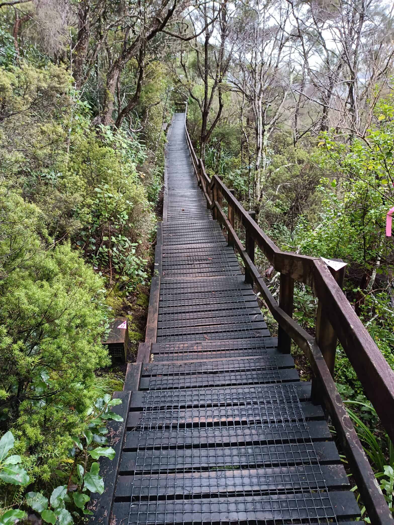 Wooden Nature Trail Amid Green Forest Trees for Christian Outreach and Spiritual Reflection.